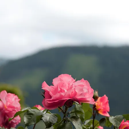 Rose's Heart アパート