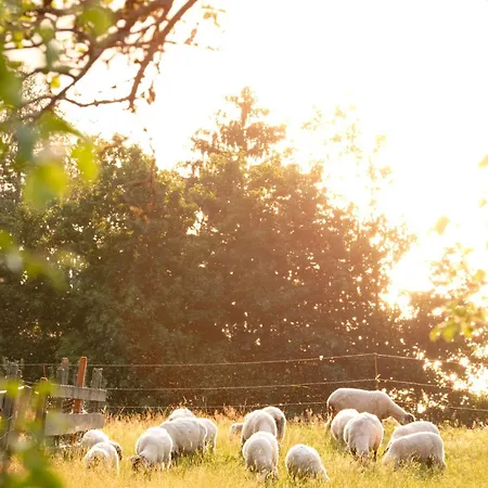 Rose's Heart برامبرغ ام ويلدكوغه