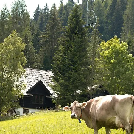 شقة Rose's Heart *