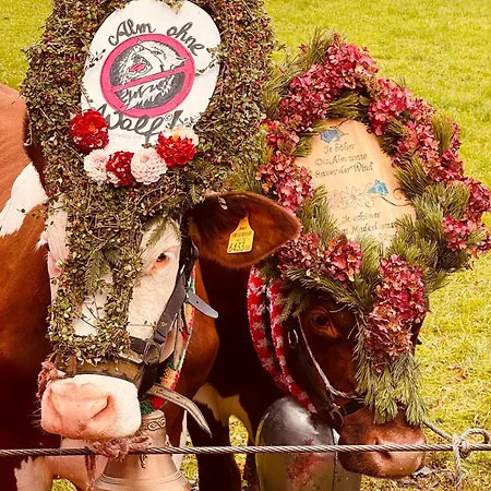Rose's Heart * Bramberg am Wildkogel
