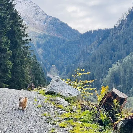 Rose's Heart アパート *