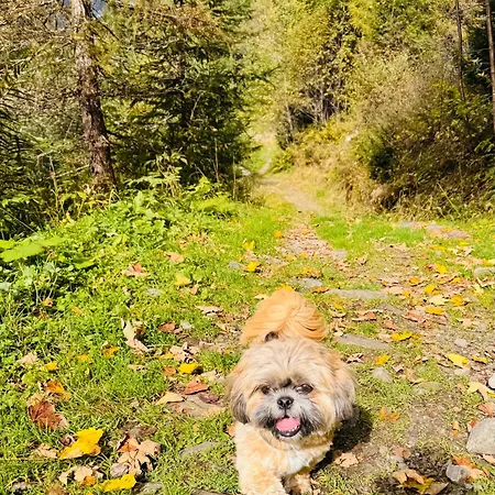 Apartmán Rose's Heart Bramberg am Wildkogel