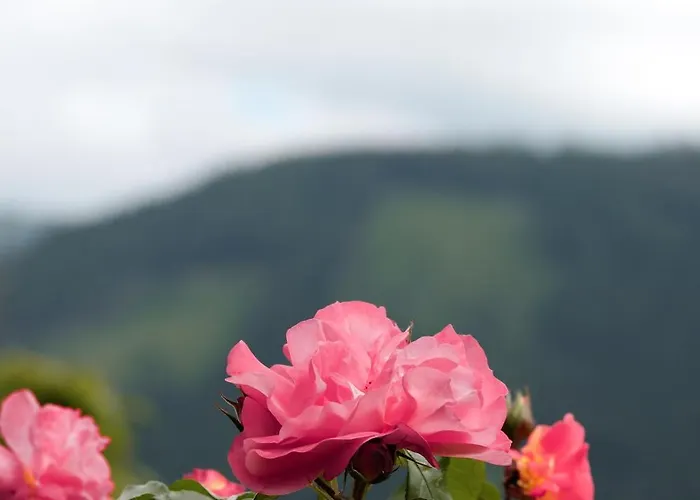 Rose's Heart Apartamento