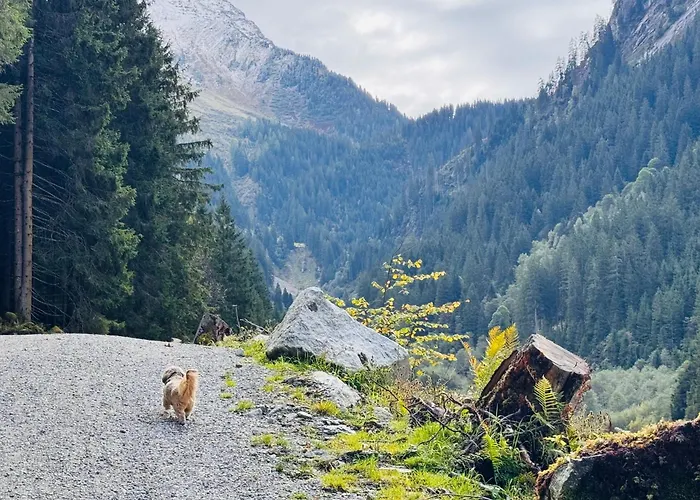 Rose's Heart Apartamento *